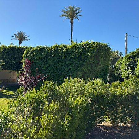 Casa Joan Villa Elche Exterior photo