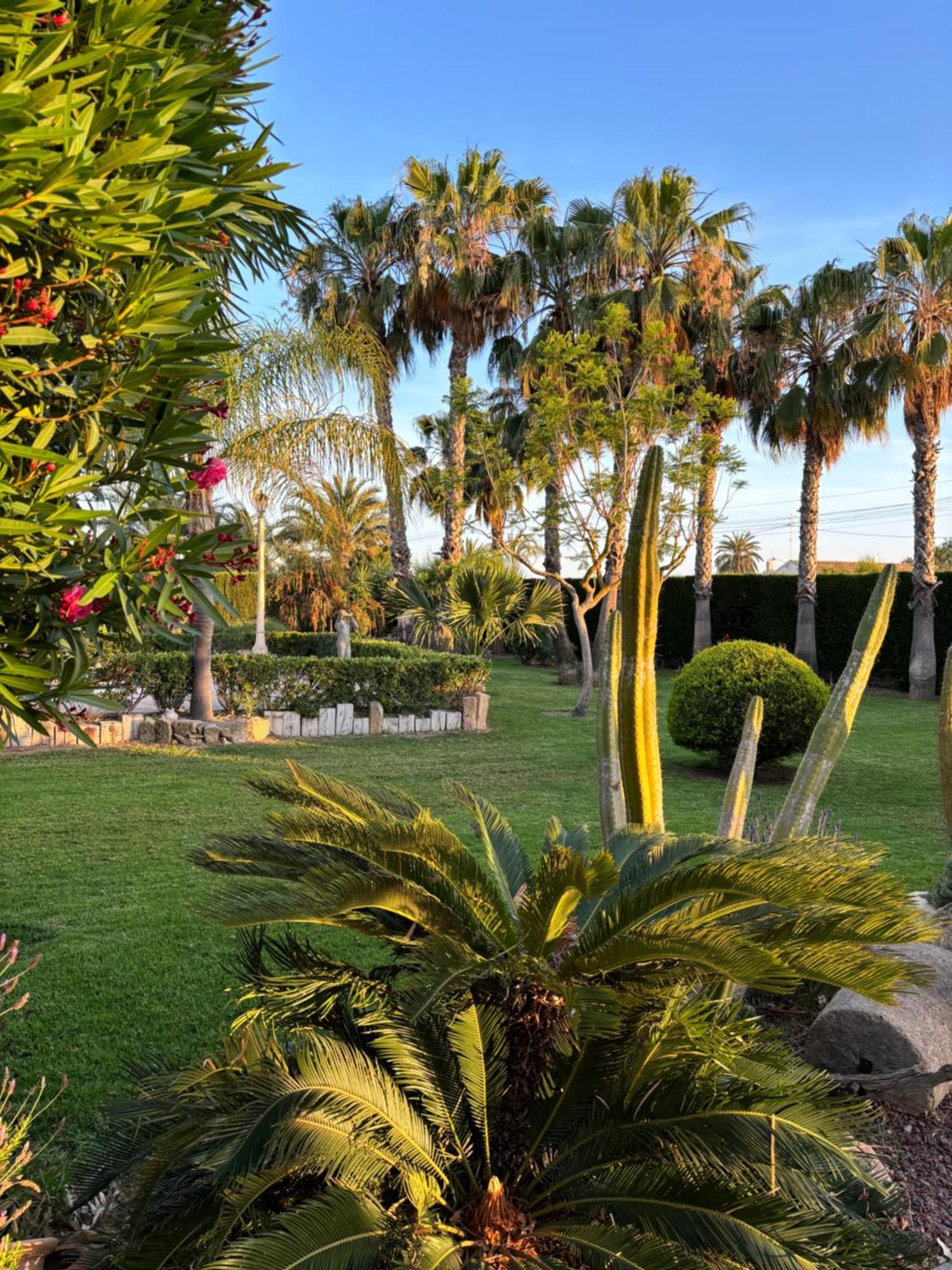 Casa Joan Villa Elche Exterior photo